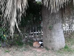 -厦门轮渡码头