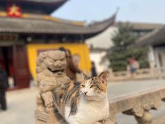 -西园戒幢律寺