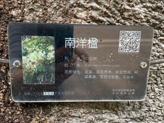 -荔香公园