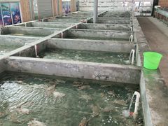 -阔澜蒸汽海鲜自助