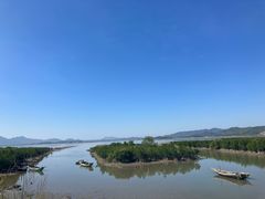 -盐洲岛