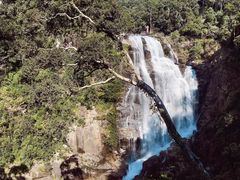 -海南热带雨林国家公园吊罗山景区