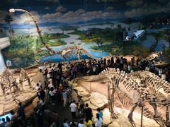 -自贡恐龙博物馆