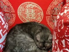 -元氏钵仔糕(北京路店)