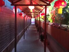 -窄巷子陕菜馆·地道陕西菜(粉巷店)