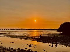 -宝安西湾红树林湿地公园