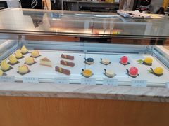 -Mnemosyne尼莫西妮(香港城店)