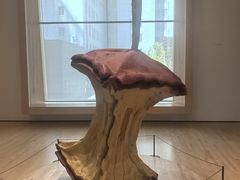 -旧金山现代艺术博物馆