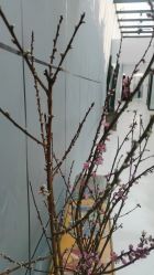 -无界瑜伽普拉提