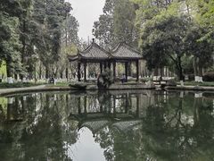 -温江公园