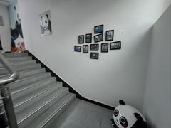 -中国大熊猫保护研究中心雅安碧峰峡基地