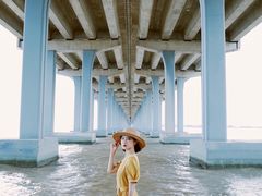 -宝安西湾红树林湿地公园