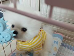 -良伴无忧宠物医院(泰欣嘉园店)