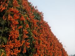 -小南山公园