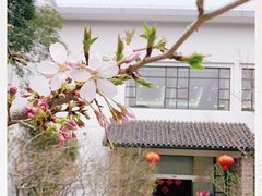 -上海鲁迅故居