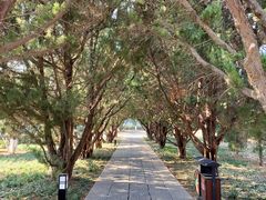 -洛阳古墓博物馆