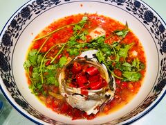 湘潭九龙鱼头-湘潭九龙鱼头店(城南西路店)