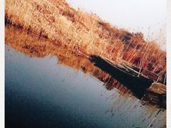 -白洋淀景区
