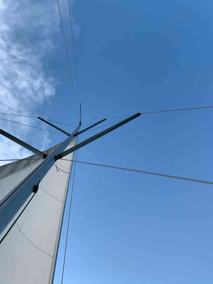 美源国际游艇会-"时不时都路过门口,今儿来撩它一下.下午烈.