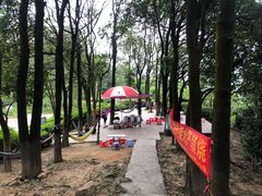 -火炉山森林公园