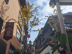 -乌山风景区