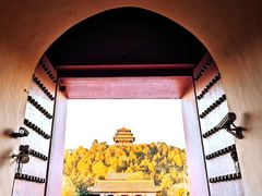 -故宫博物院(故宫)