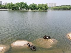 -长春世界雕塑园