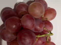 -大鸭梨烤鸭(枣园店)