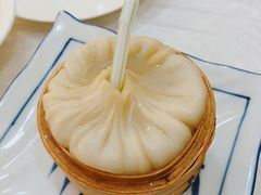 -新镇江酒家(南京西路店)