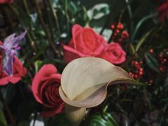 -花二家·生活馆(六运小区店)