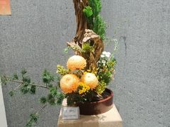 -广州文化公园