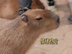 -北京动物园