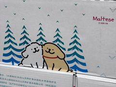 -麦德龙(郑东店)