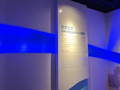 -白鹤梁水下博物馆