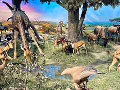 -国家自然博物馆