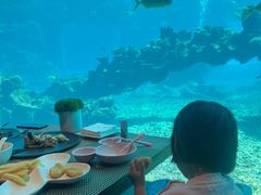-涛·海底餐厅·美人鱼·自助餐·海底隧道(三亚海棠湾洲际度假酒店)