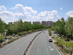 -黑龙江省森林植物园