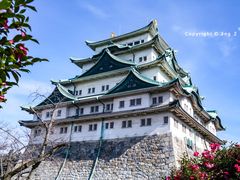 -名古屋城