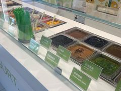-Salud撒露欧洲冻酸奶(五道口购物中心店)
