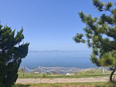 -养马岛旅游度假区