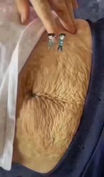 -香薇妮丝·定制减肥·身材管理