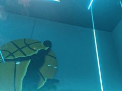 -唯爱KTV聚会餐厅(仙林东城汇店)