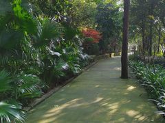 -铁山坪森林公园