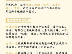 -上海中医药大学附属曙光医院(东部)