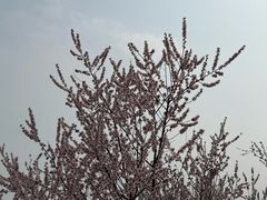 -白水寺森林公园