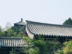 -西安青龙寺遗址景区