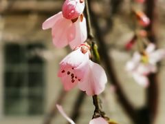 -奥体中心(地铁站)