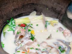 -鲜潭蒸汽石锅鱼(万象前海店)