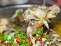 -九门寨石锅鱼烤鱼