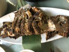 红鳟鱼-北京水岸山吧度假村(雁栖镇店)